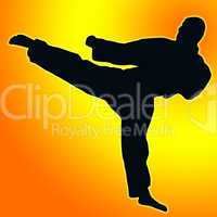 Gold Orange back Sport Silhouette - Karate Kick