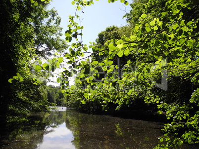 Jacobiweiher bei Frankfurt