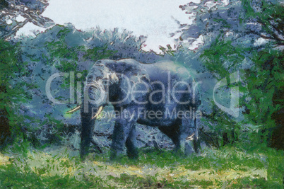 Bush Basher (Elephant)