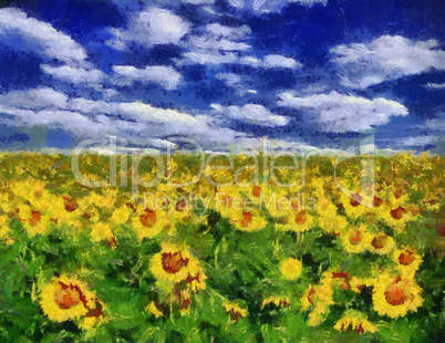 Sunflower field under blue sky background painting