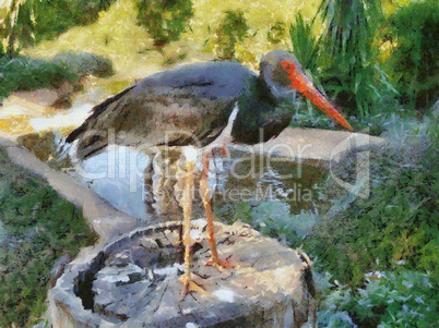 Stork on Stump