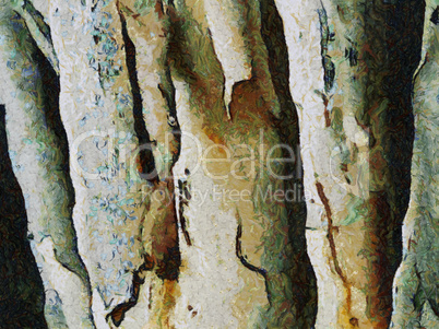 Abstract Oil Painting - White Tree and bark