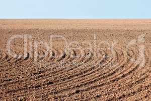 Furrows on autumn field