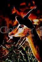 Impalas in Felt Fire Illustartion