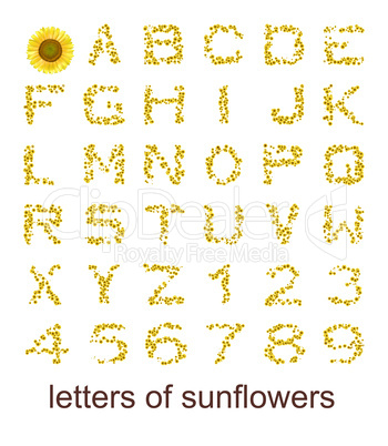 letters of sunflowers