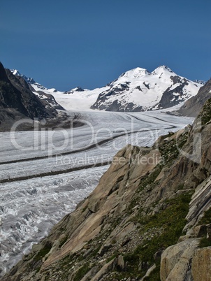 Aletschgletscher And Eiger