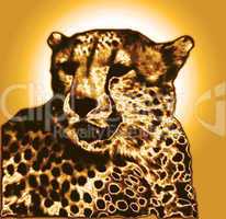 Isolated Cheetah face drawing in gold brown gradient colors