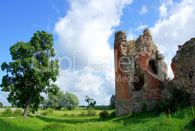 Ruins and tree