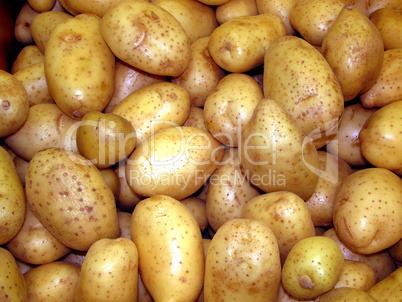 Potatoes