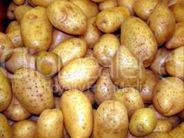 Potatoes