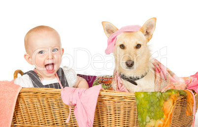 Baby and dog in the laundry basket