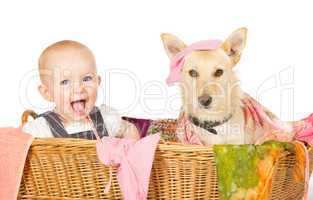 Baby and dog in the laundry basket