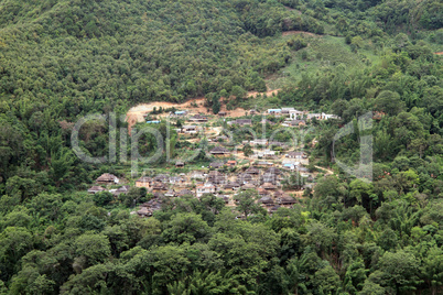 Village in the forest