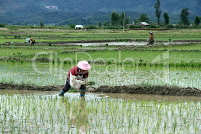 Women work