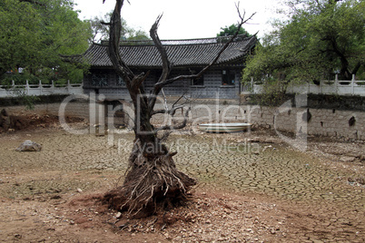 Dry pond