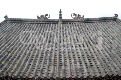 Dragons on roof
