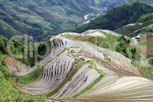 Longsheng Rice Terraces; China