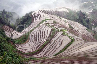 Longsheng Rice Terraces; China