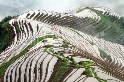Longsheng Rice Terraces; Chiana