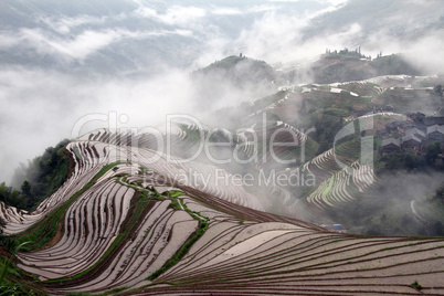 Longsheng Rice Terraces, Chiana