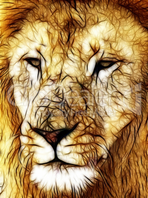 Close-up picture illustration of Large Lion face