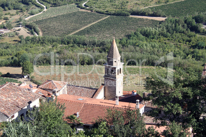 Roofs and vineyards