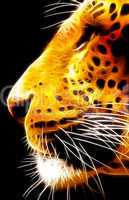 Neon Isolated Close-up Leopard Face Side View