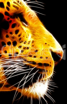 Neon Isolated Close-up Leopard Face Side View