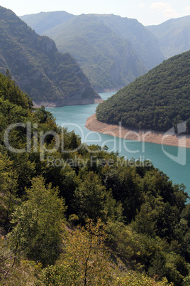 Forest and lake