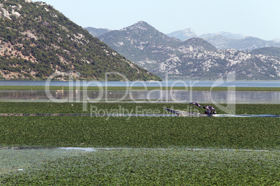 Lake Skadar