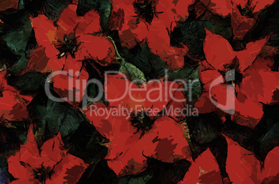 Poinsettia Flowers Painting
