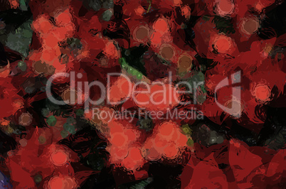 Poinsettia Flowers Abstract Background
