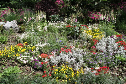 Garden and flower bed