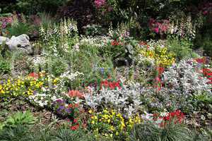 Garden and flower bed