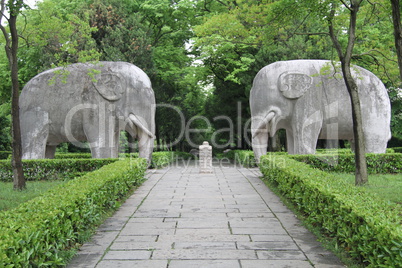 Stone elephants and foot path
