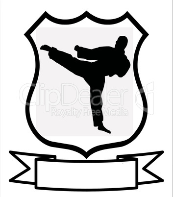 Karate Sport Shield