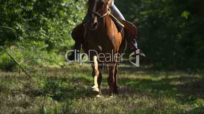 riding galloping horse slow motion