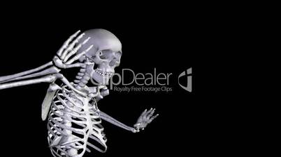 Skeleton Disco Dancing - Zoom Out + Alpha  CGI