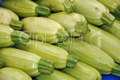 Zucchini