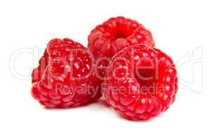 Three fresh raspberry on a white background. Close up macro shot