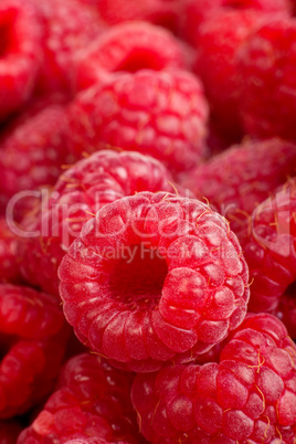 Ripe rasberry background. Close up macro shot of raspberries