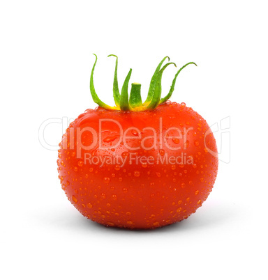 Tomato