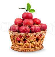 ..Basket of apples