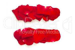 Equals sign made from red petals rose on white