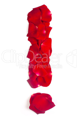 Exclamation sign made from red petals rose on white