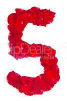 number 5 made from red petals rose on white