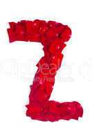 Letter Z made from red petals rose on white