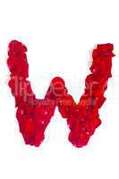 Letter W made from red petals rose on white