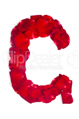 Letter G made from red petals rose on white