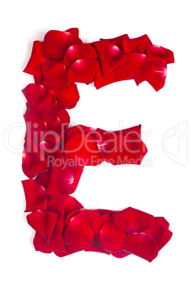 Letter E made from red petals rose on white